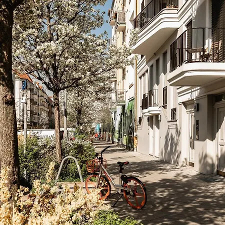 Family-friendly In The Center Of Apartment