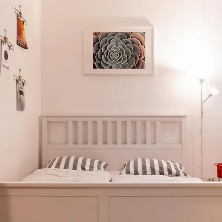 Family-friendly In The Center Of